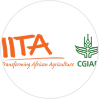 IITA